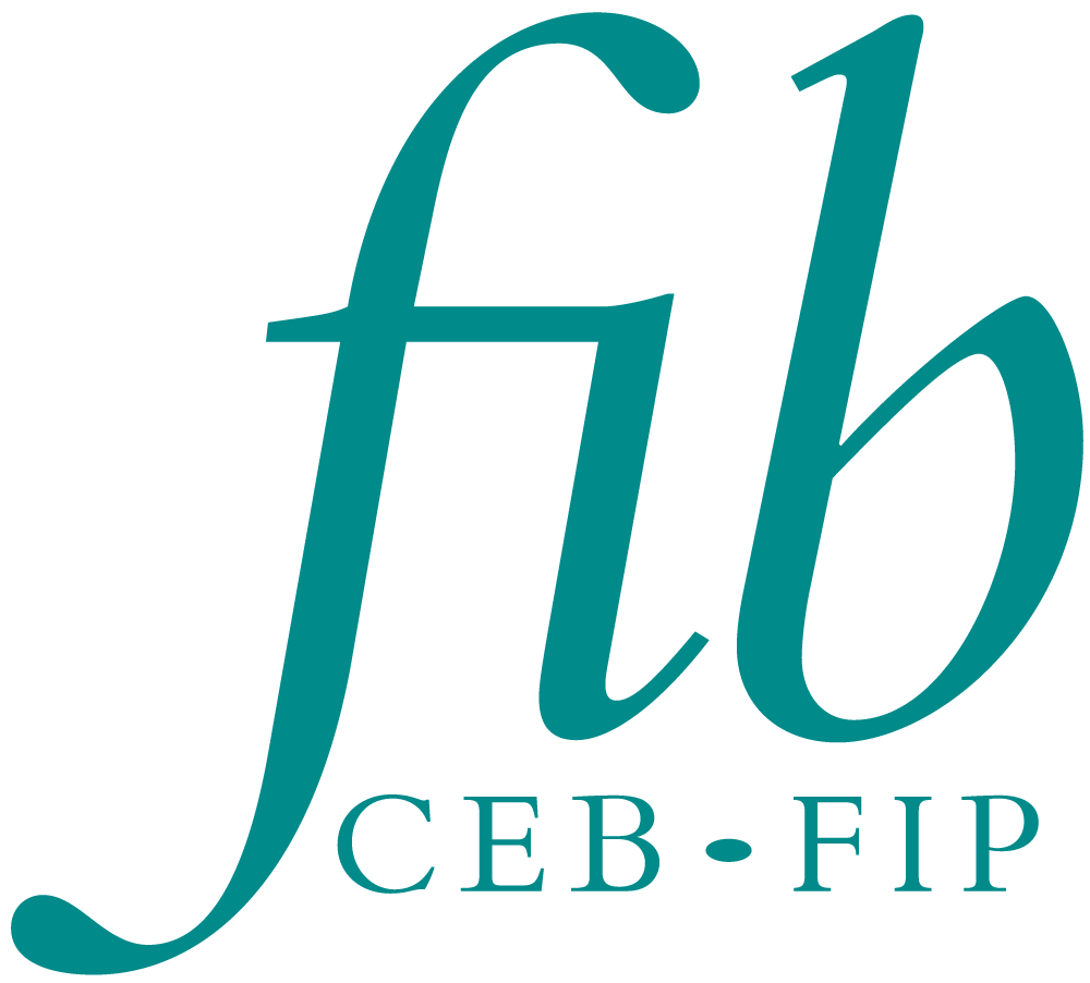 FIB vector MonoChrome3282c white background