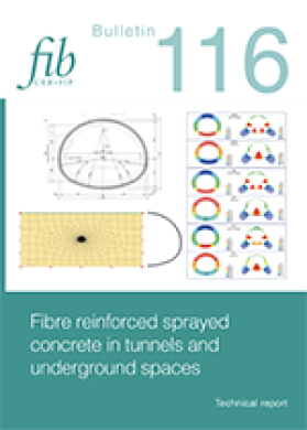 FIBBUL-0116-2025-E-cover